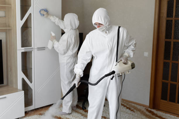  Renton, WA Mold Removal Pros