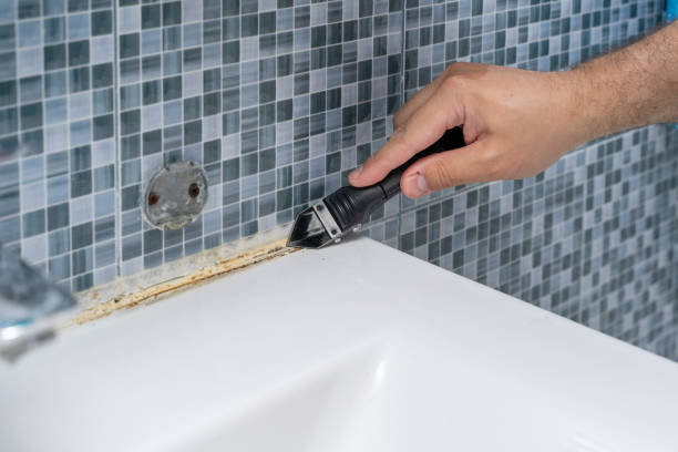 Best Mold Removal Near Me  in Renton, WA